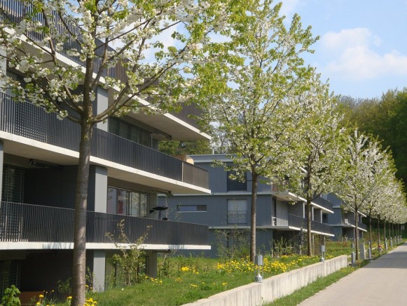 Neubau Wohnüberbauung Kirschenacker, Ittigen