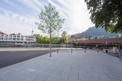 Aarefeldstrasse Aare