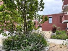 Baufeld B Ried Papillon Allee Niederwangen