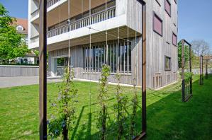 Erweiterung Volksschule Pestalozzi Bern