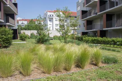 Güterstrasse Gräserbepflanzung